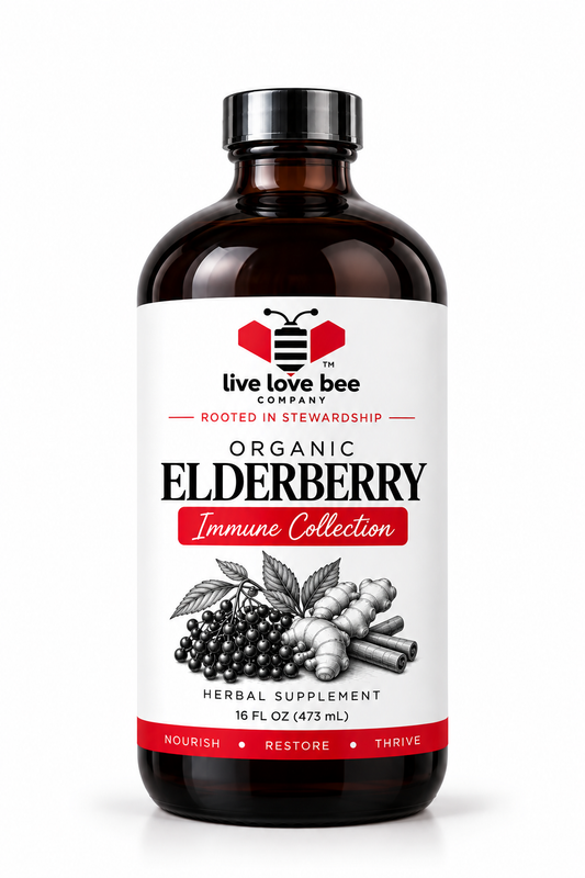 Infused Elderberry Syrup