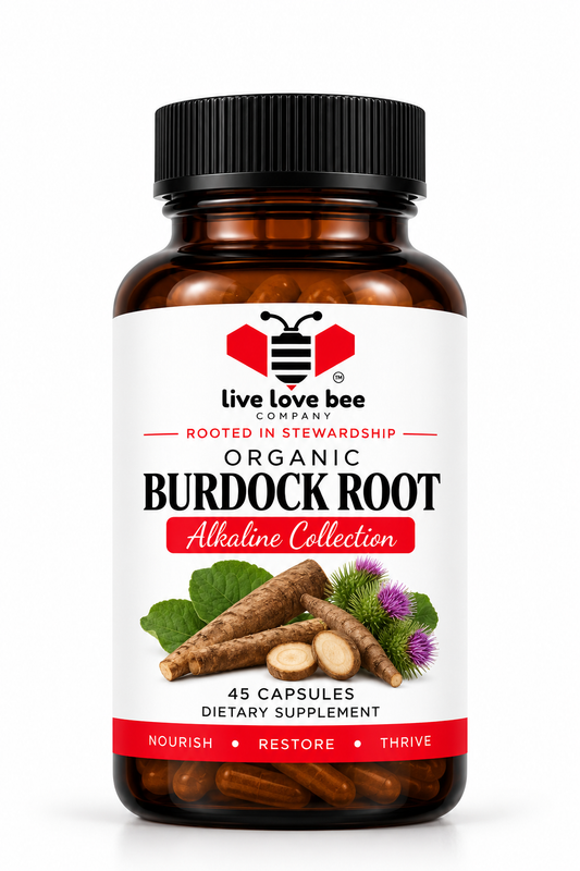 Burdock Root Capsules (45 Capsules Organic