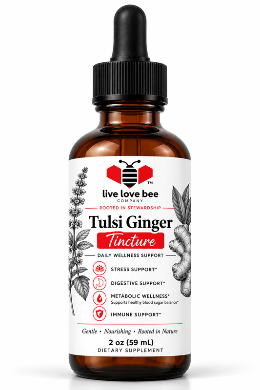 Tulsi Ginger Tincture (Organic)