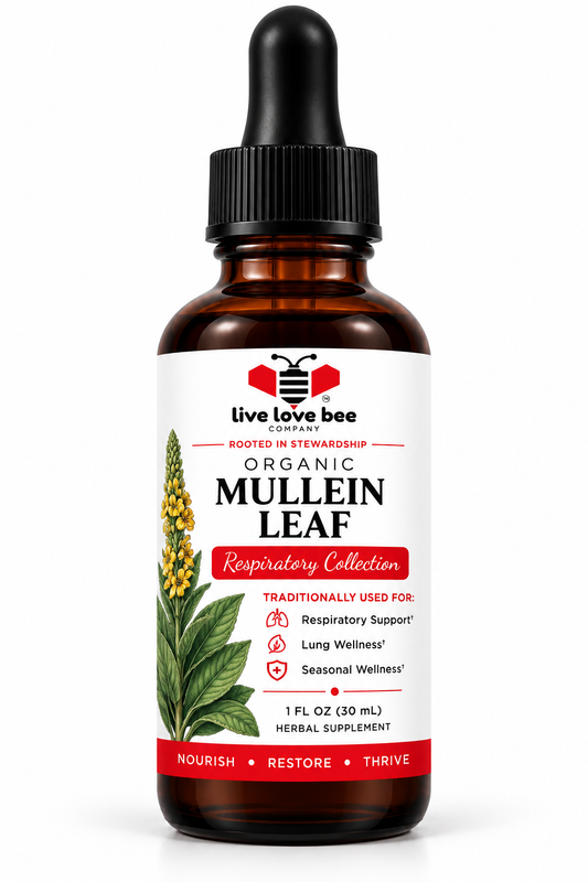 Organic Mullein Leaf Tincture (1 oz)